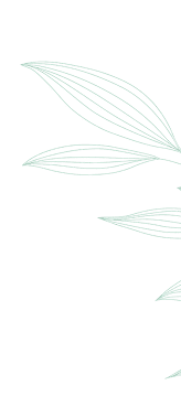 Minimalist leaves on a black background.
