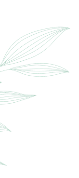 Minimalist leaf outline on black background.