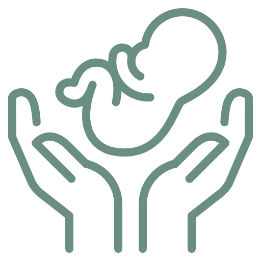Hands cradling a newborn baby icon.